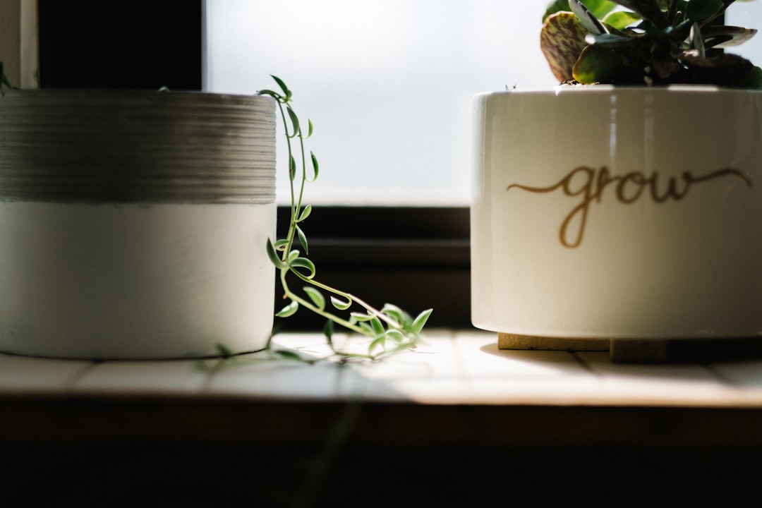 Grow