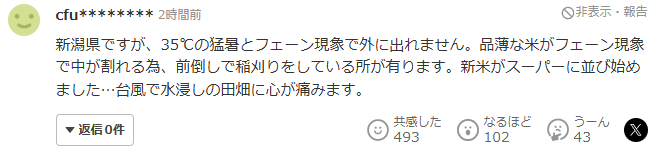 네티즌 반응 3