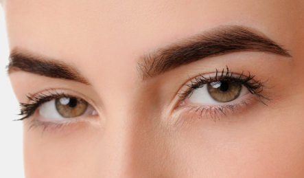 루테인 지아잔틴의 차이점과 효능 및 부작용 그리고 일일 권장 섭취량