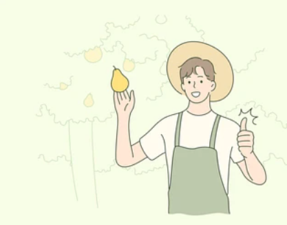 과일-배를-따고-있는-농부-모습