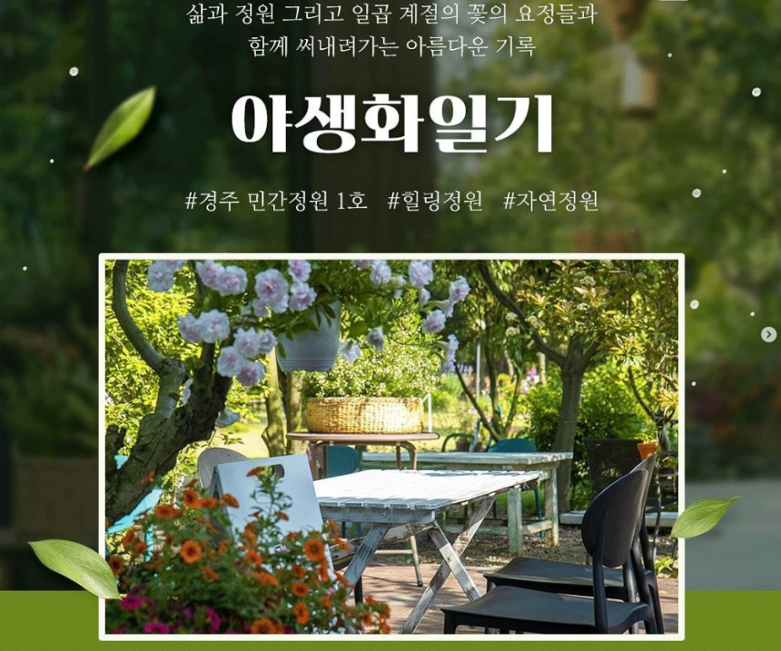특색있고 아름다운 민간 정원 30선 추천 여행 - 11. 경주 야생화일기 정원
