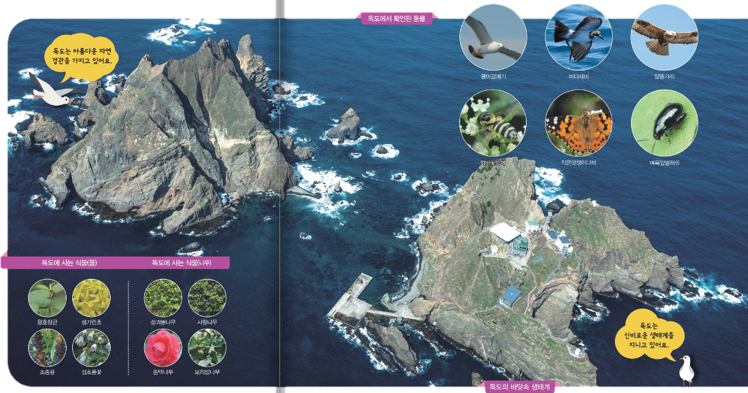 독도-환경-사진