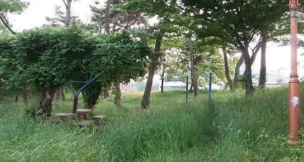 완사천