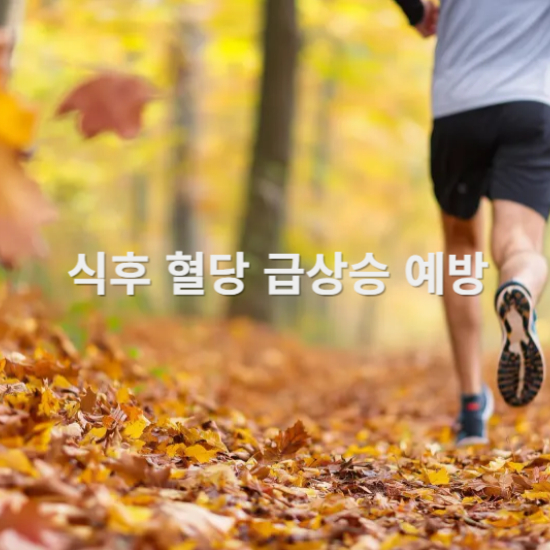 식후 혈당 급상승 예방 걷기