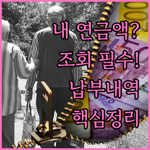 지역가입자 국민연금 납부 내역 조회와..