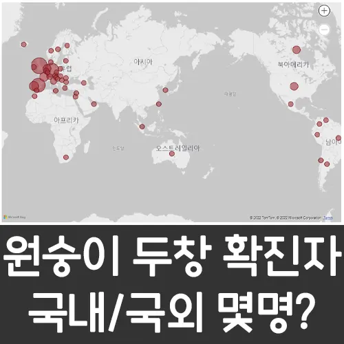 원숭이 두창 확진자 수 확인 국내 국외 전 세계