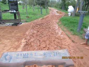 황토길 맨발 걷기 효능과 건강 효과 핵심 정보 정리해보기_5