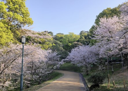 후쿠오카-니시공원