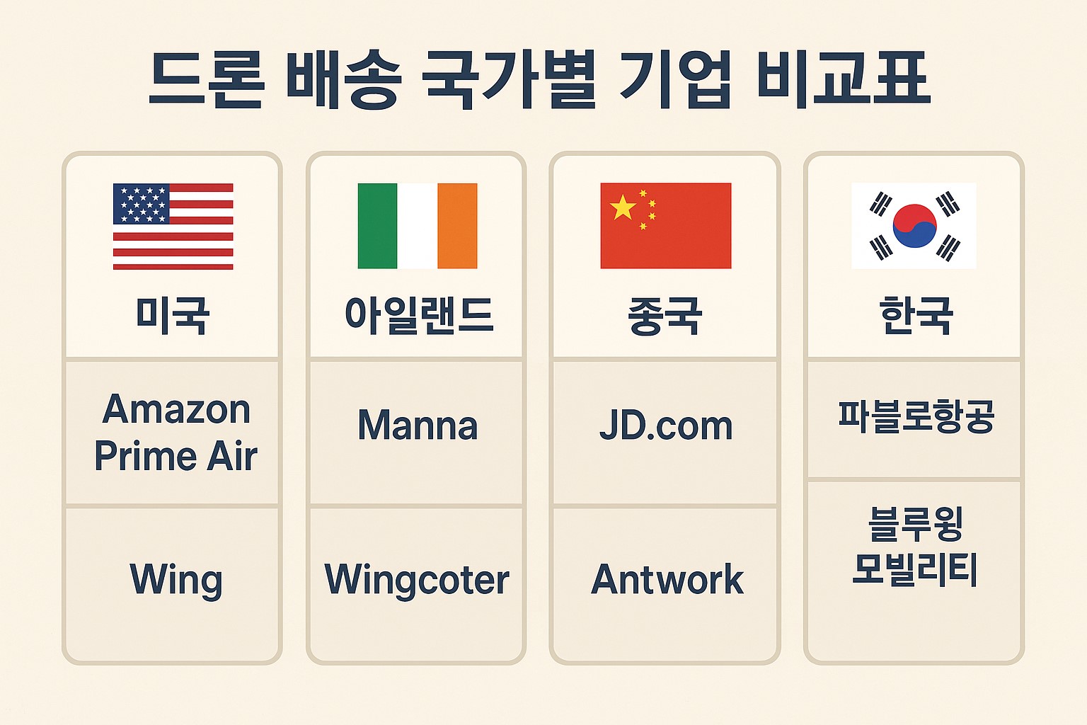 드론 배송 국가별 기업 비교표 인포그래픽
