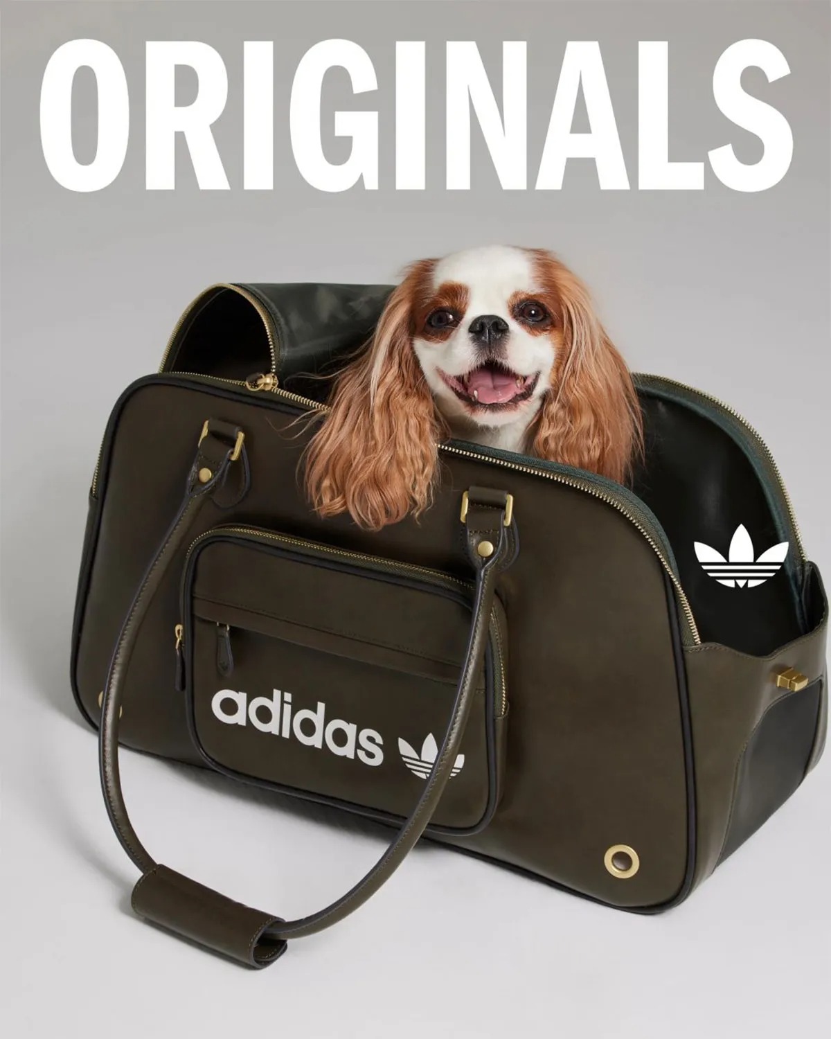 adidas Originals Is Dropping Apparel And Accessories For Pets