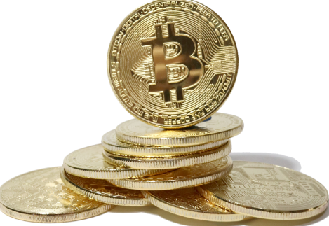 비트코인 도미넌스 뉴스 ETF 관련주 전망 알아보기 위너스 사태