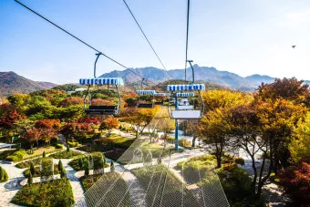 서울대공원 캠핑장 둘레길 동물원 입장료 맛집_34