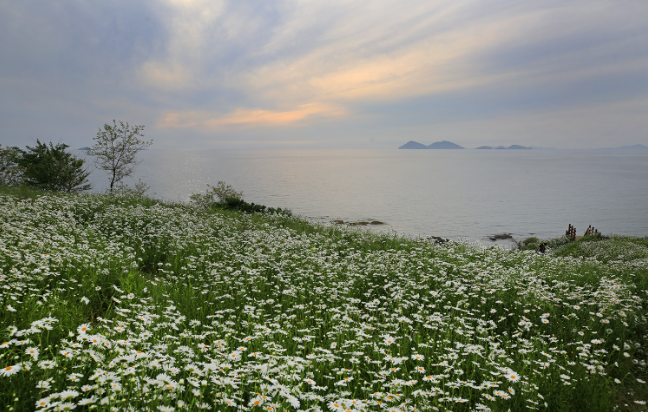 부안 살기 좋은 동네 vs 불편한 동네 — 정착 기준 비교 가이드