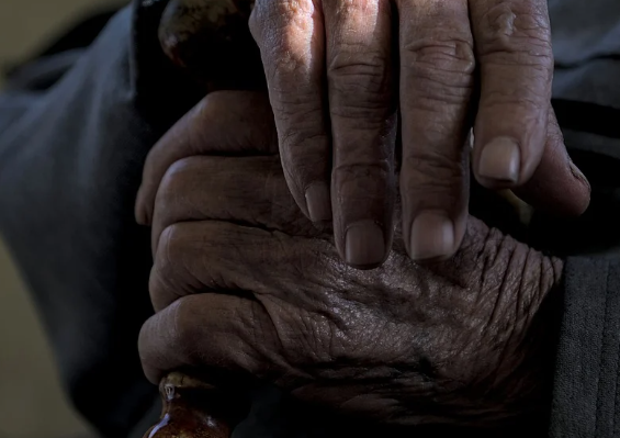 코큐텐 효과 : 노화 방지