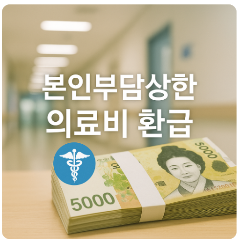 본인부담상한 환급제도 (신청방법, 수혜자, 금액 요약)