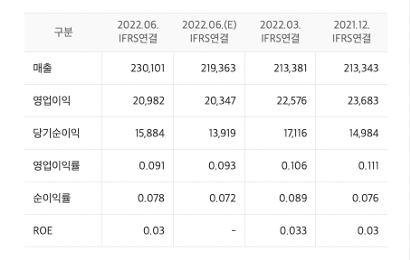 이미지-재무제표