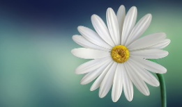 아파트 풍수 인테리어