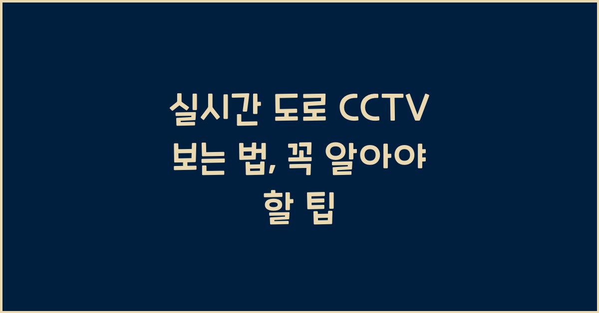 실시간 도로 cctv 보는 법