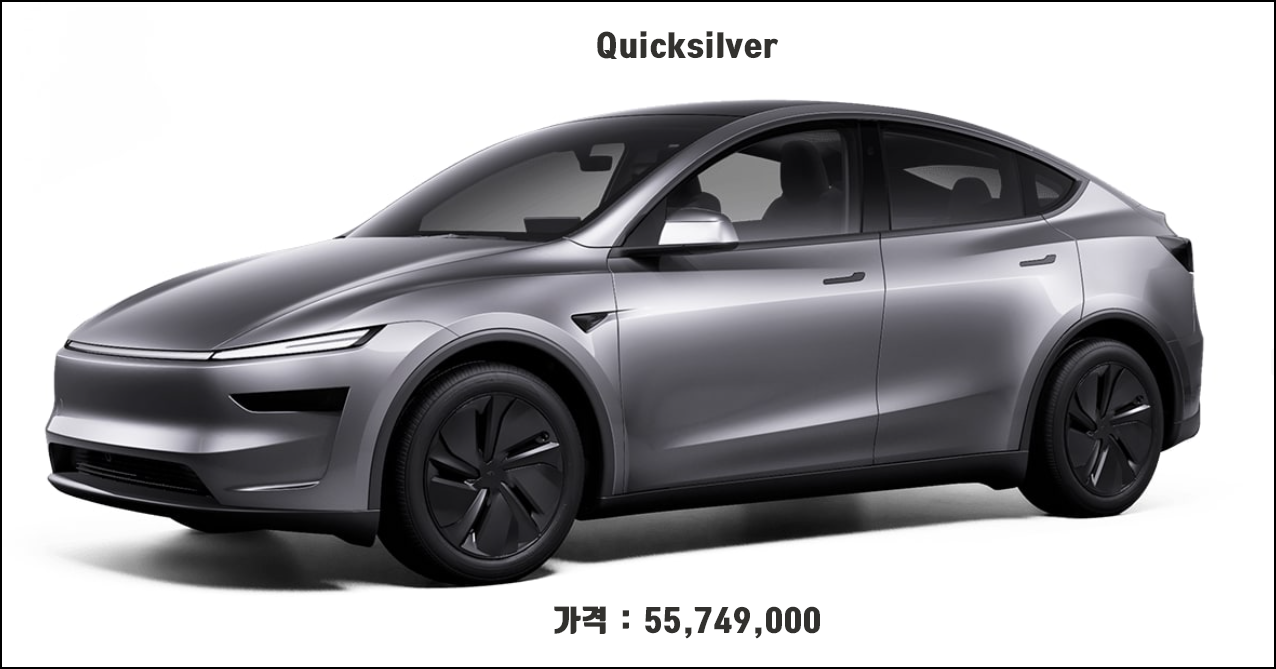 테슬라 모델Y 주니퍼