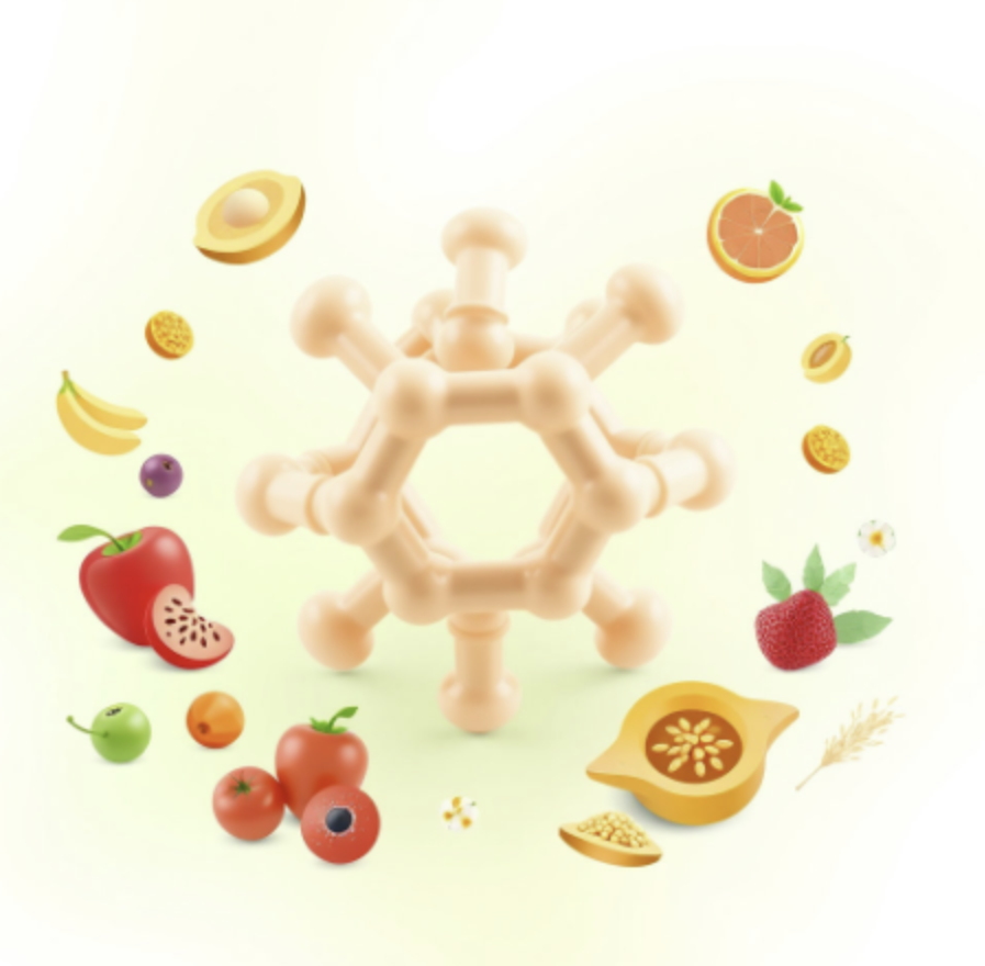 알파CD 효능 부작용 가격 추천 제품 Top5