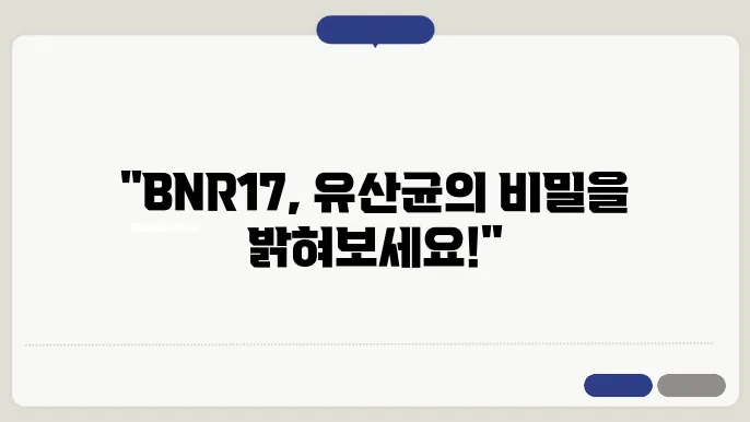 BNR17 유산균의 종합적인 효과