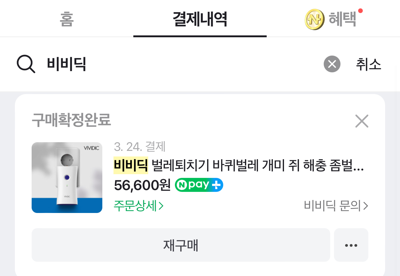 비비딕 결제내역