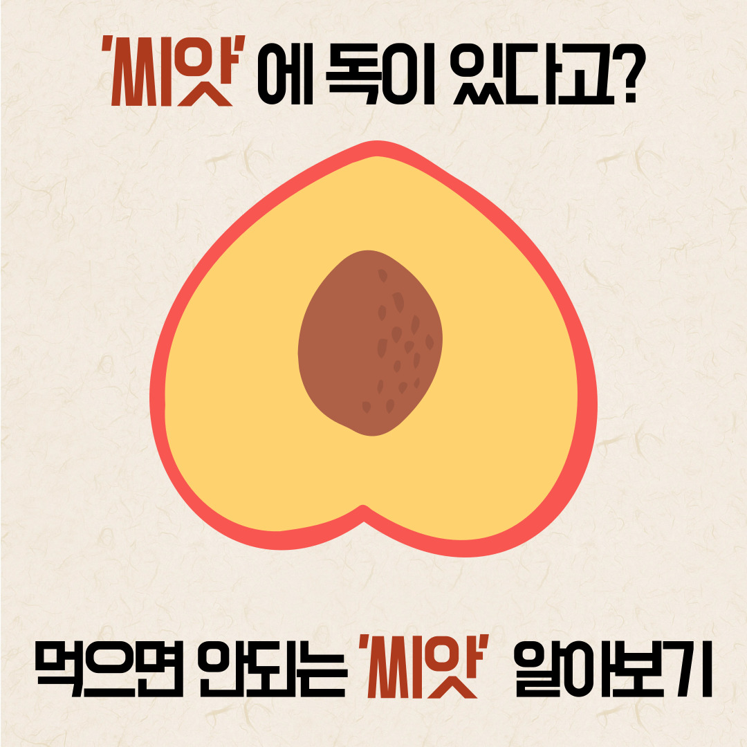 과일씨앗