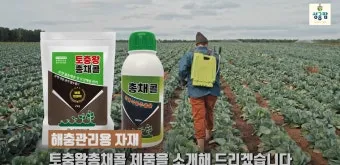 화분 응애 방제 초기발견 잎뒷면확인 샤워식세척 비누물활용 팁_4
