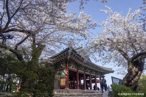 강원도 지역 명소 12선