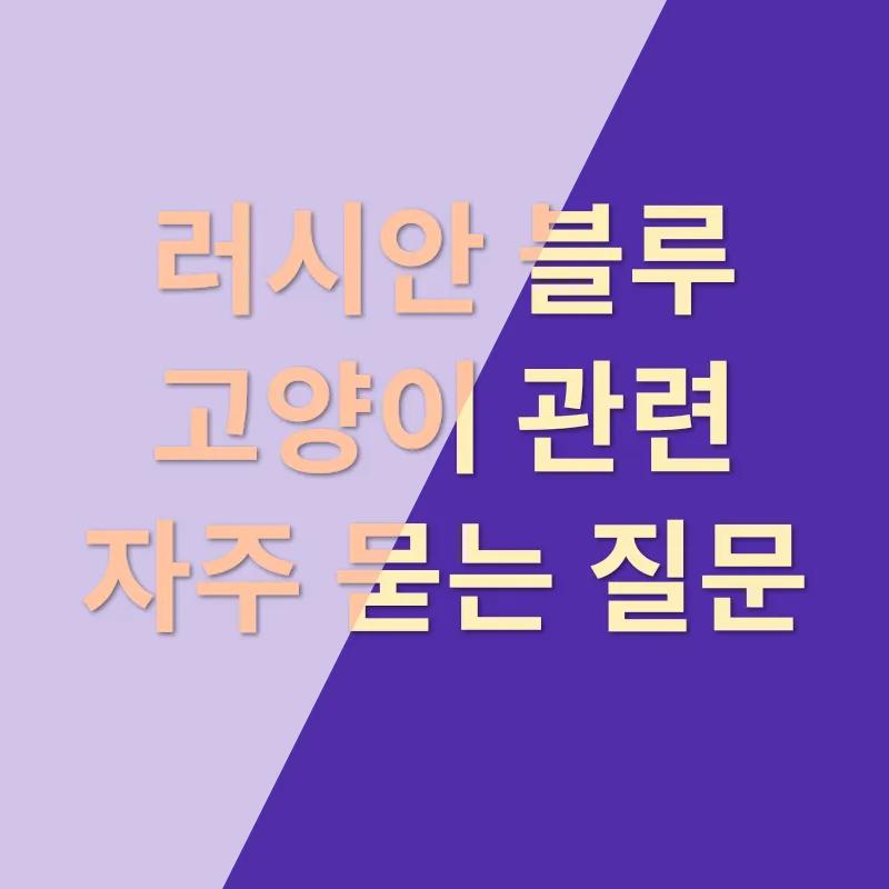 러시안 블루_4