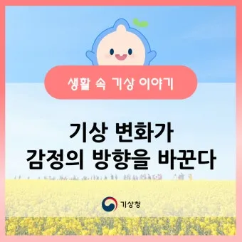 봄철 강풍 꽃가루 농도 알레르기 마스크 관리_16