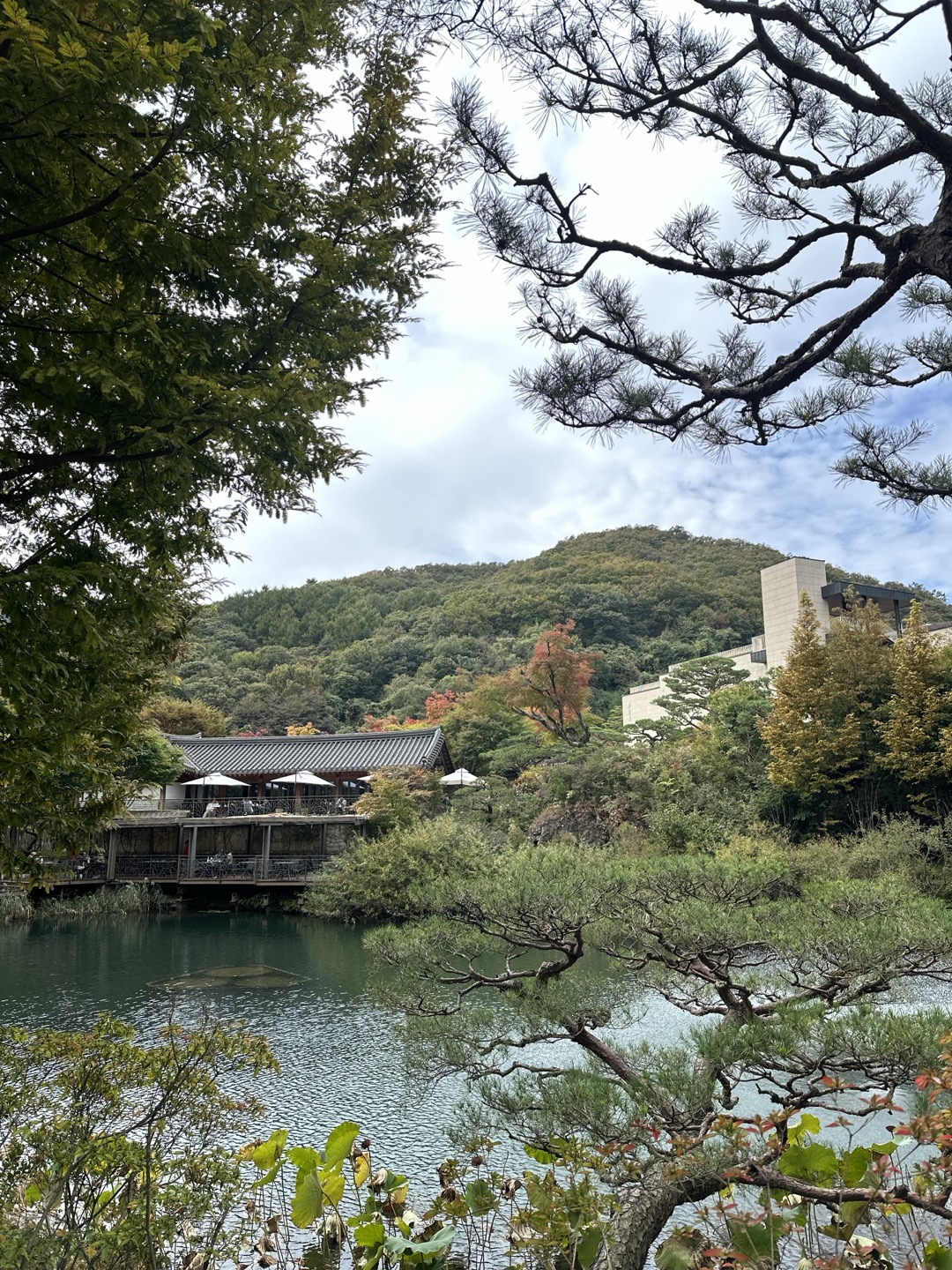 봄 여행 화담숲