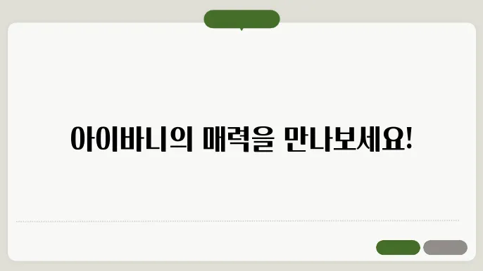 아이바니 홈페이지 바로가기 https://gaonibunny.com