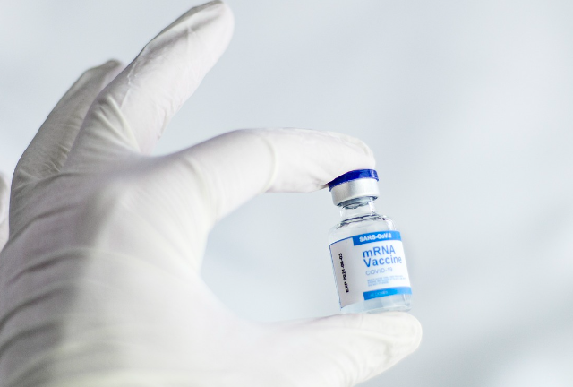 백신과 면역학: 건강을 지키는 과학의 힘