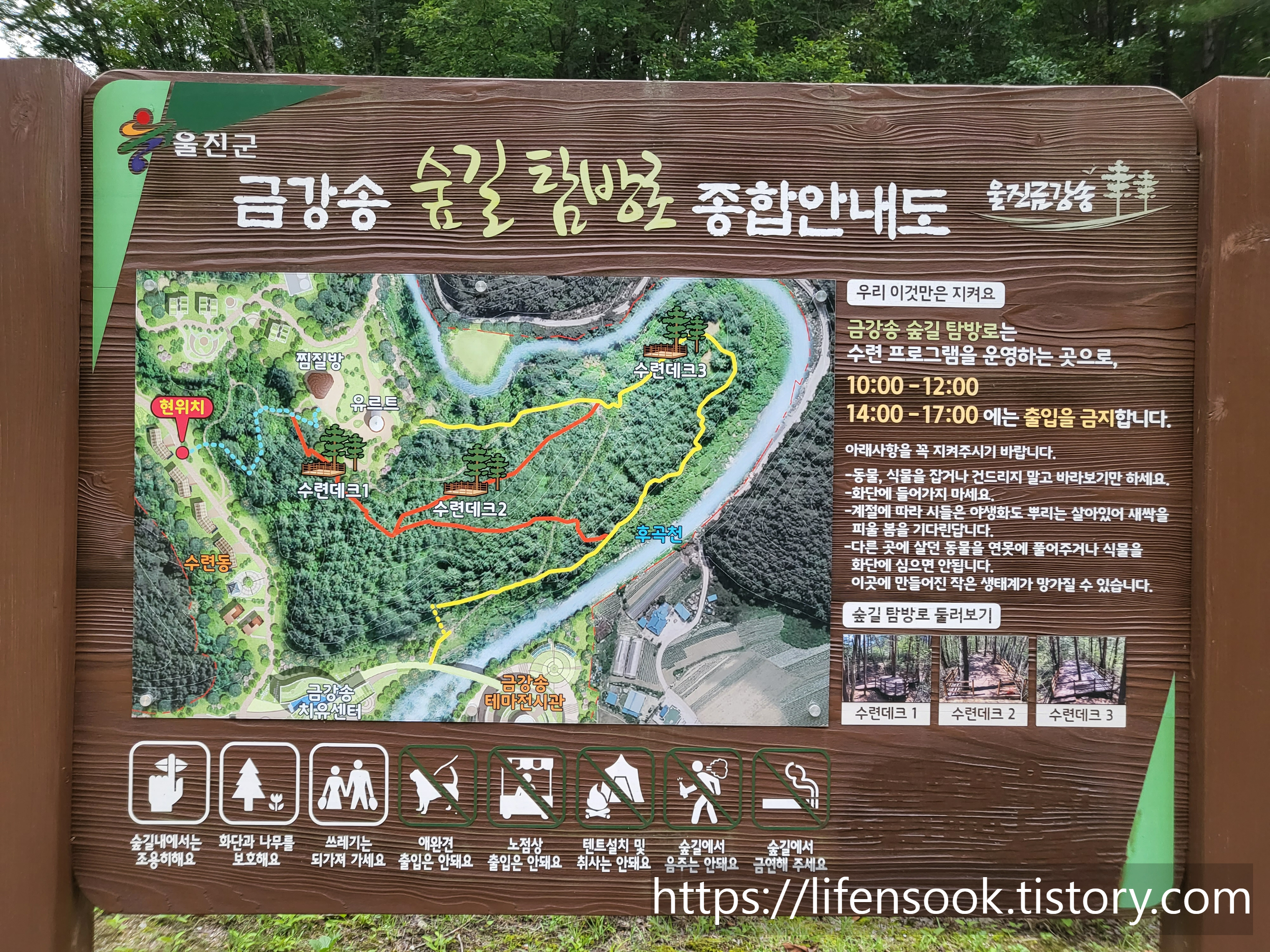 금강송 숲길 탐방로 안내