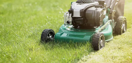 공공 텃밭 관련 사진