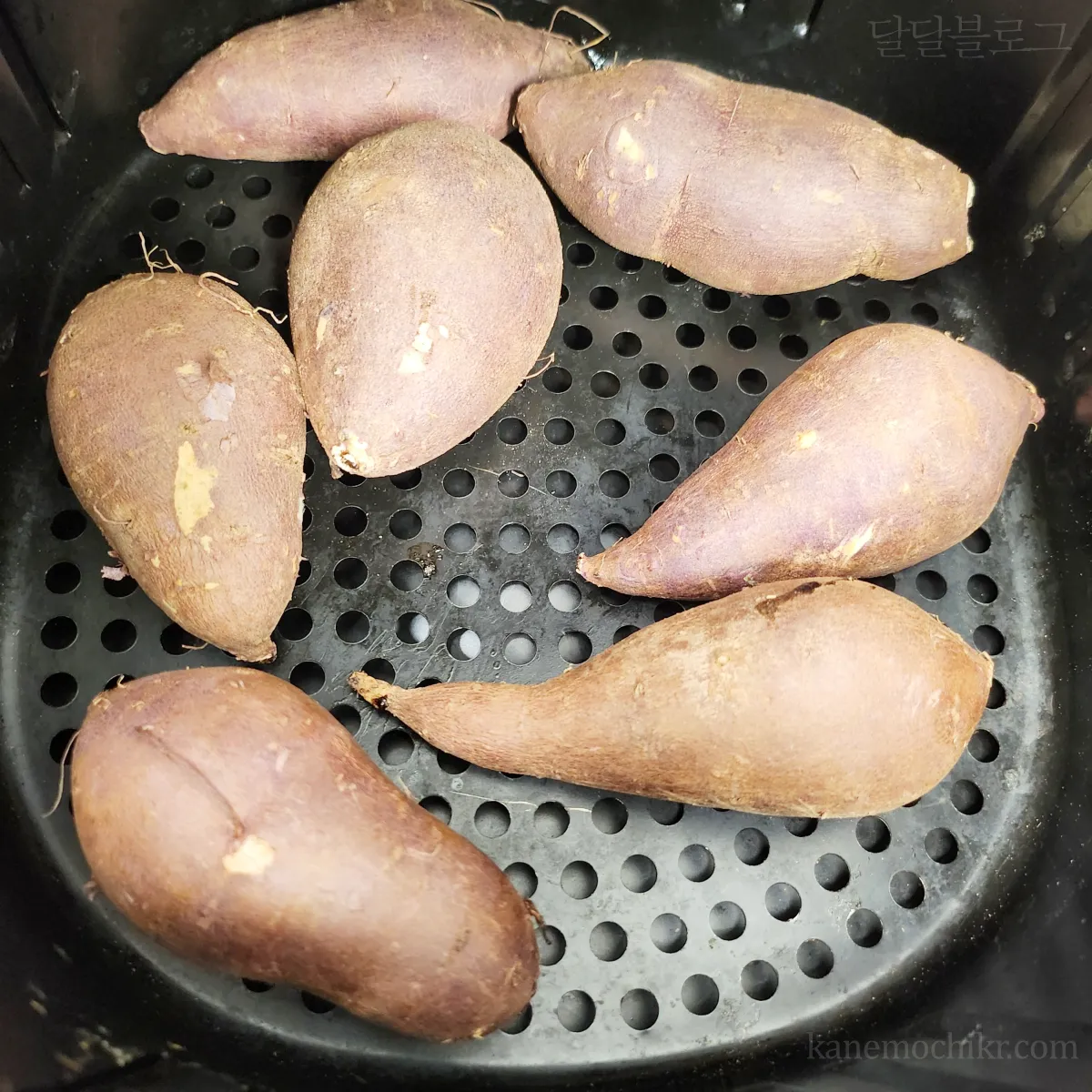 고구마-1차굽고난후