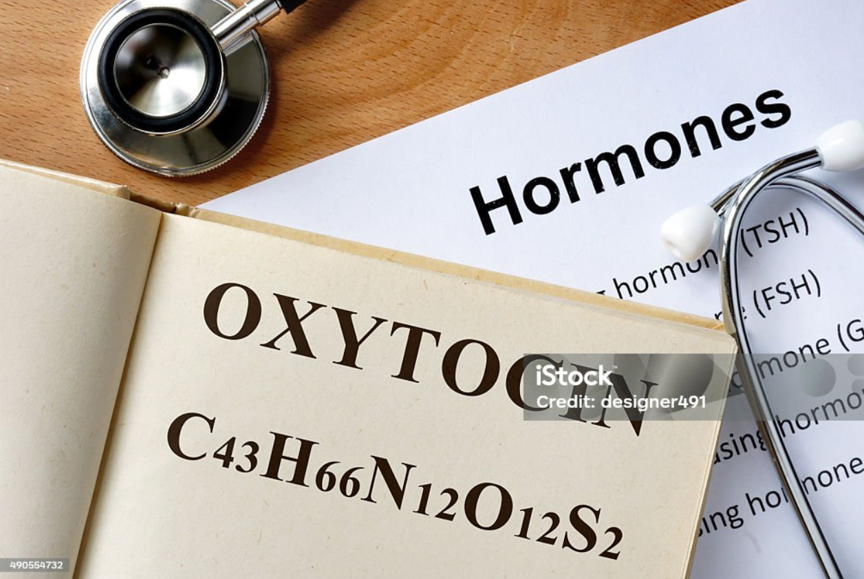 행복호르몬:세로토닌, 도파민, 옥시토신의 비밀