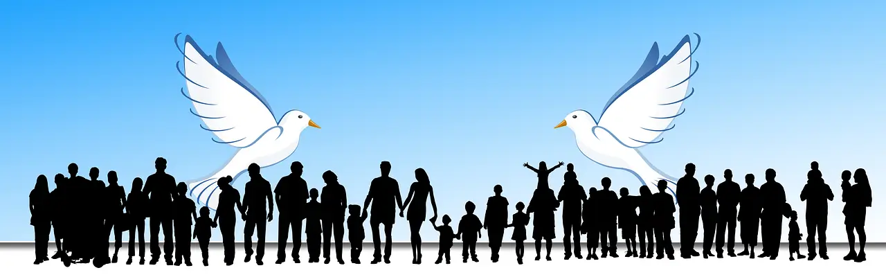 사회 실험의 성과가 사라지는 행정 시스템의 한계