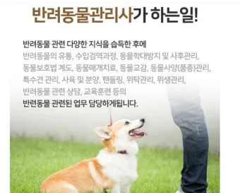 반려동물관리사 취득비용 온라인강의 취업처 은퇴 후 반려업 진입법_5