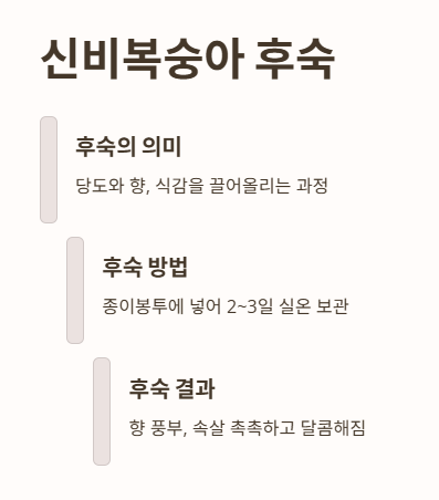 신비복숭아 후숙
