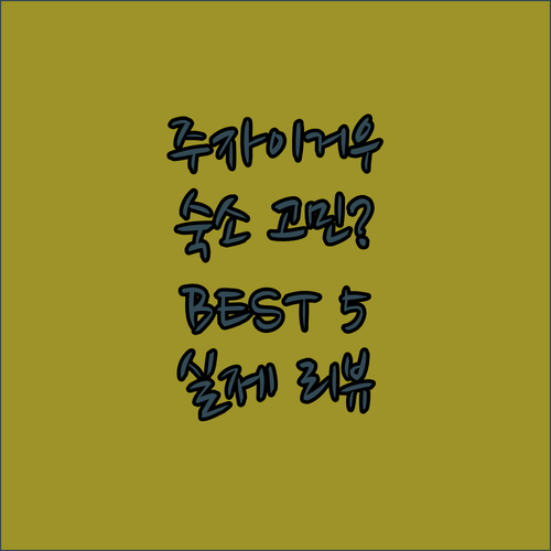 주자이거우 숙소 고민 끝! ✨ 5곳의