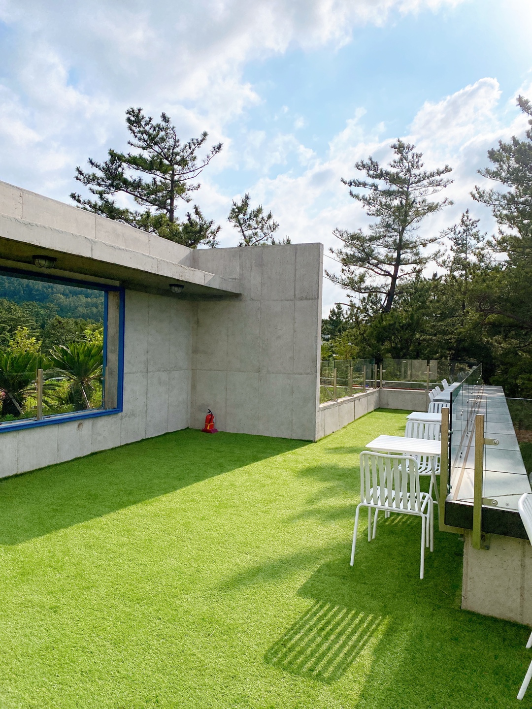 제주 애견 할리스 연북로점