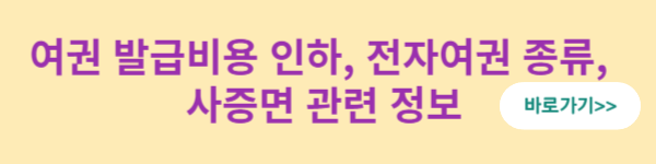 여권 발급비용, 전자여권 종류