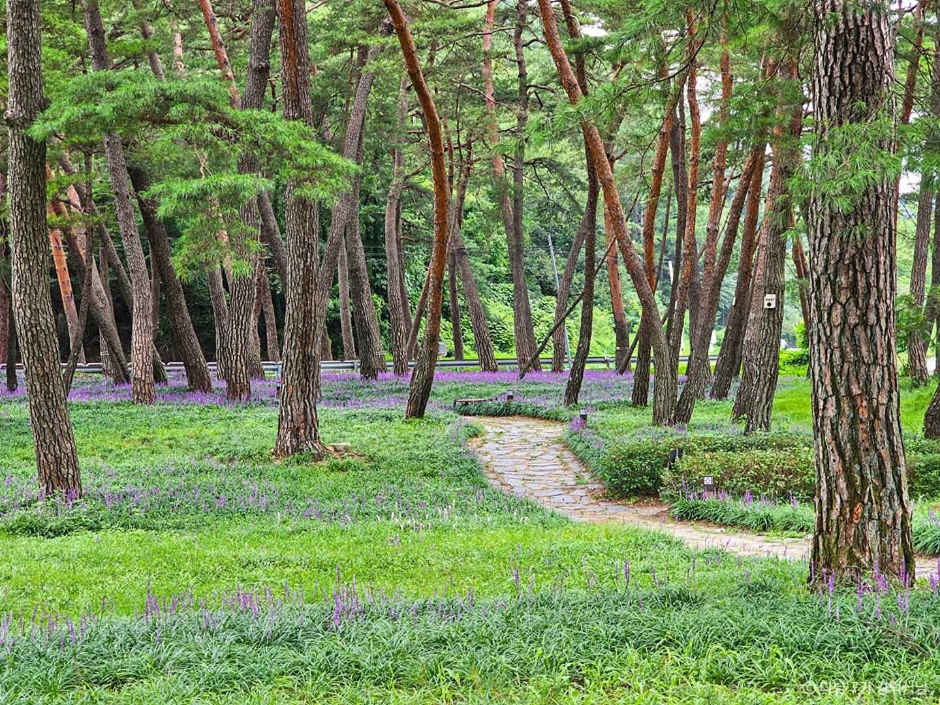 상주 가볼만한곳 베스트10