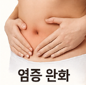 비트 효능