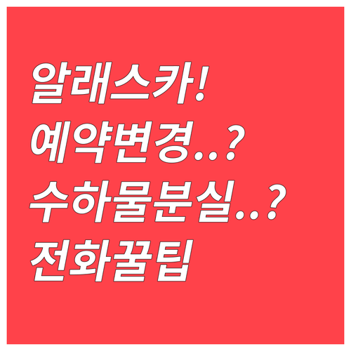 알래스카 항공 예약 변경 수하물 분실..