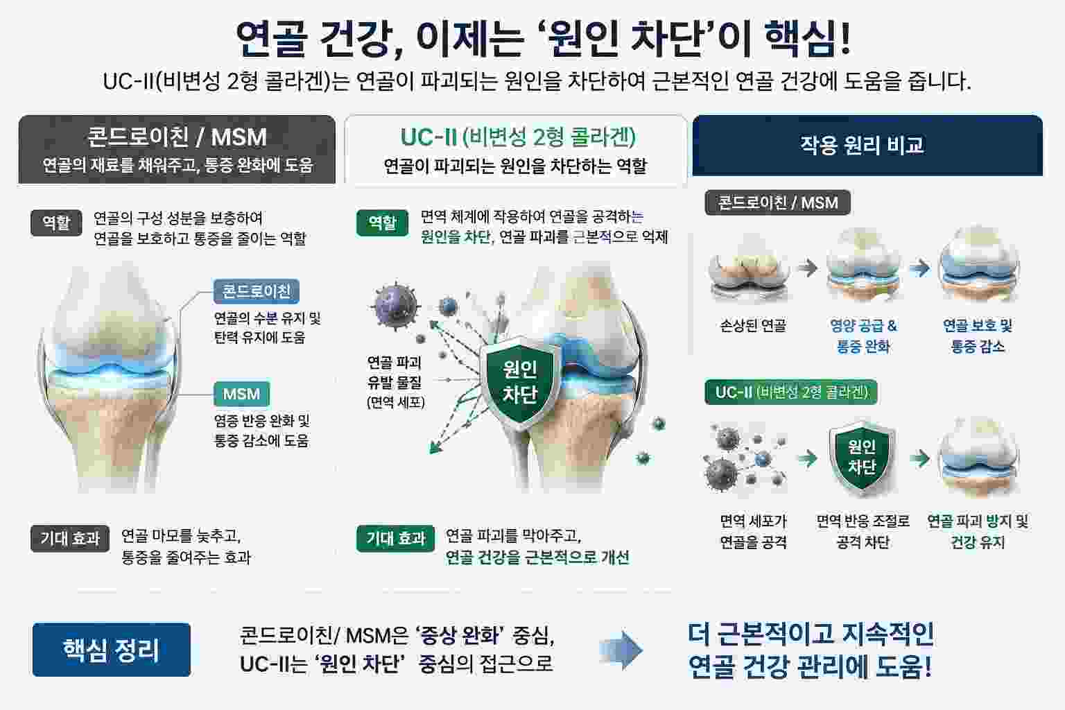 UC-II 비변성 2형 콜라겐