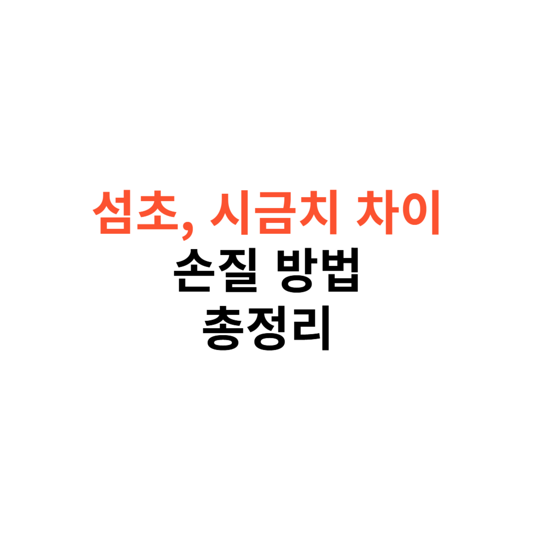 섬초와 시금치 차이