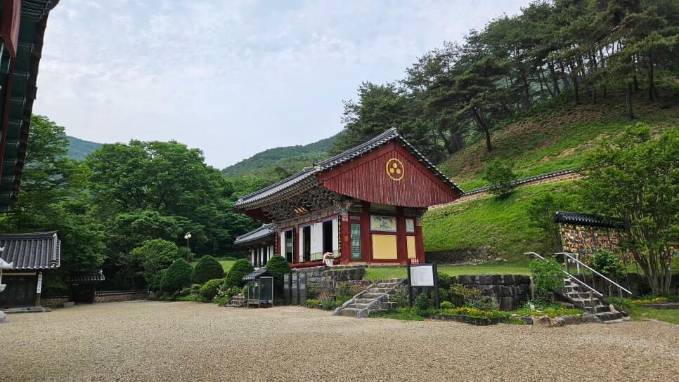 금산 보석사 : 1,100년 은행나무와 전나무 숲길이 주는 위로